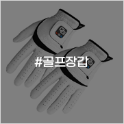 골프장갑